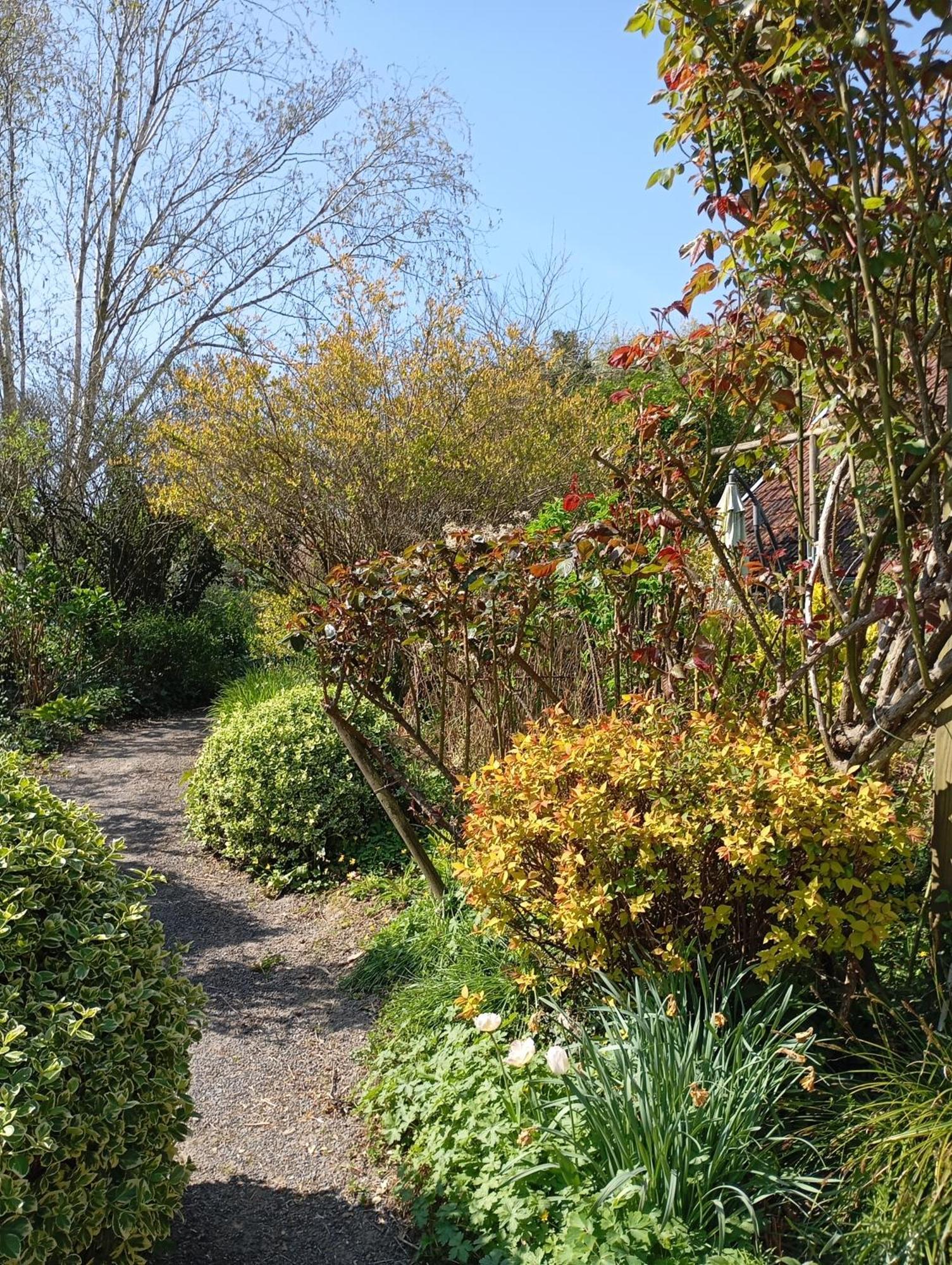 La Chartrie Vila Sartilly-Baie-Bocage Exterior foto