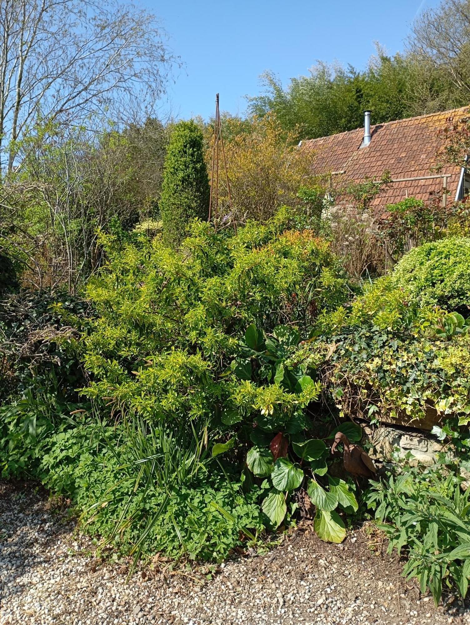 La Chartrie Vila Sartilly-Baie-Bocage Exterior foto